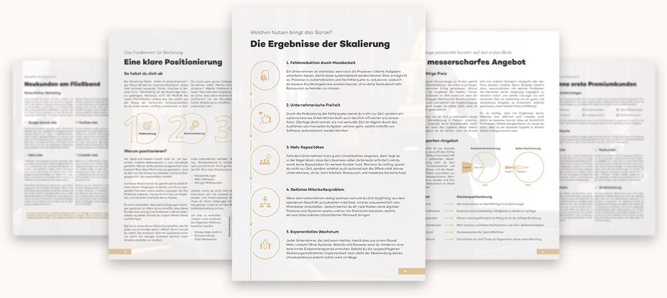 Vorschau mehrerer Seiten aus dem Skalierungs-Report